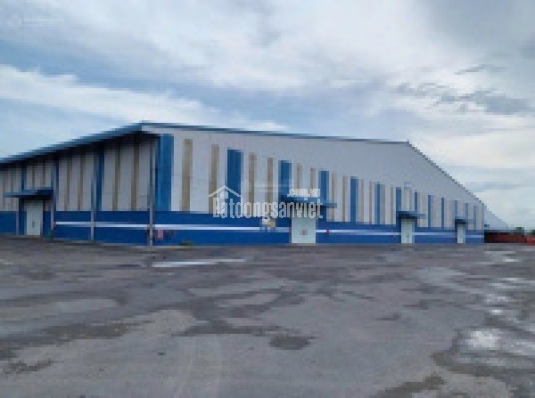 Bán kho xưởng 100m mặt tiền Quốc Lộ 1A, Tân An, 2.1 HA - HĐT 600tr/tháng giá Nét 148 tỷ