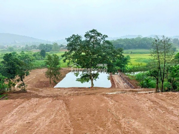 Chính chủ bán đất view đẹp nhất Thơn Dy - Minh Quang -Ba Vì