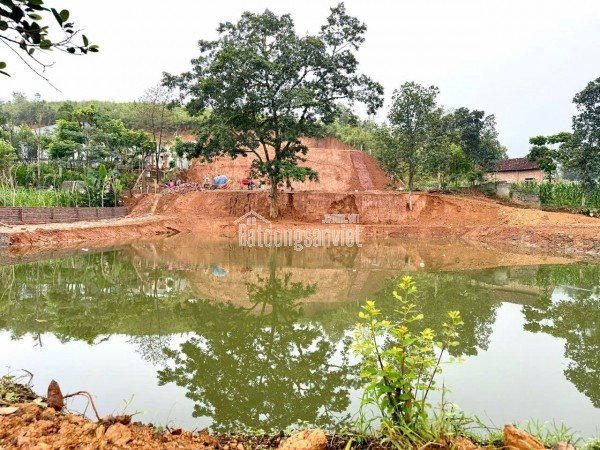 Chính chủ bán đất view đẹp nhất Thơn Dy - Minh Quang -Ba Vì