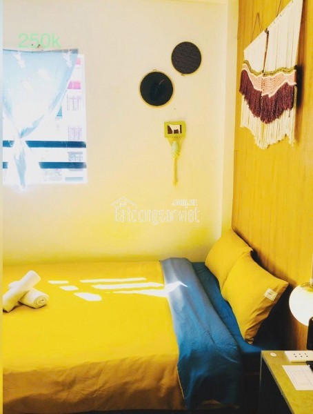 CHO THUÊ & SANG HOMESTAY BÀ TRIỆU 12PHÒNG NGỦ , PHƯỜNG 3, ĐÀ LẠTGIÁ 18 TR/ THÁNG