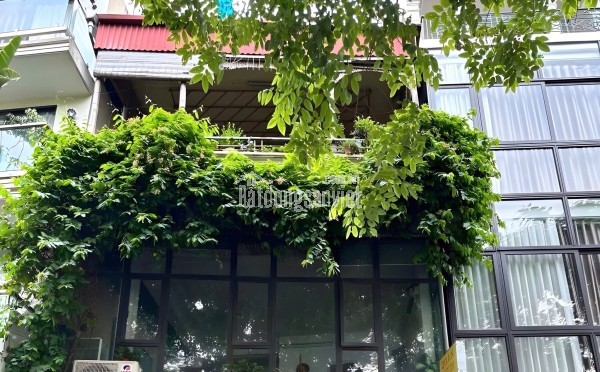 BÁN ĐẤT MẶT PHỐ ÂU CƠ - 479M² - 13M MT - KẾ CẬN ĐẶNG THAI MAI 100M - GIÁ 260 TỶ