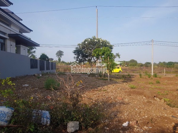 🔥 Bán đất 100m² thổ cư + 120m² CLN – sổ riêng – mặt tiền đường nhựa Suối Nghệ Châu Đức – Giá chỉ