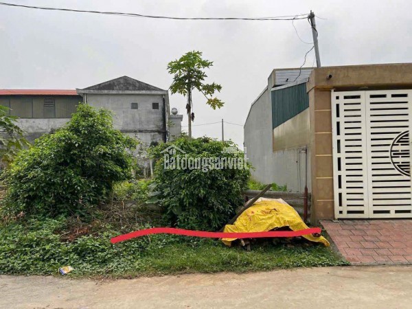 CHÍNH CHỦ CẦN BÁN LÔ ĐẤT ĐẸP FULL THỔ CƯ - 100m² - PHÚ THỌ