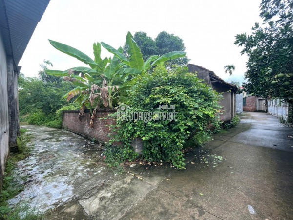 CHỈ NHỈNH 900 TRIỆU – ĐẤT ĐẸP PHÚC THỌ – SỔ SẴN SANG TÊN NGAY