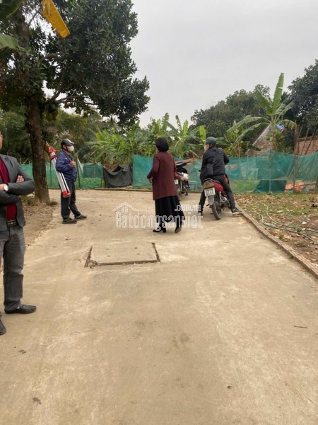 Thôn Mộc Hoàn Đình, xã Vân Côn, huyện Hoài Đức, TP. Hà Nội