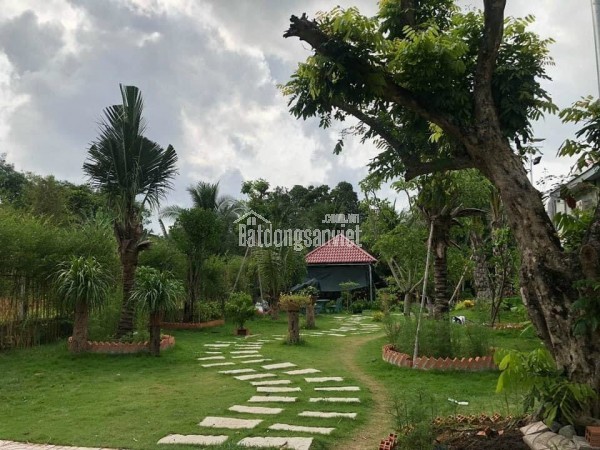 Bán nhà 2MT HXH 16m Dương Quảng Hàm, P6 Gò Vấp. DT: 19mx50m, CN: 915m2. Giá bán: 96 tỷ TL