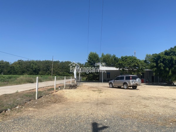 Bán 4000m2 đất đường Phan Bội Châu thị trấn Tân Châu Tây Ninh