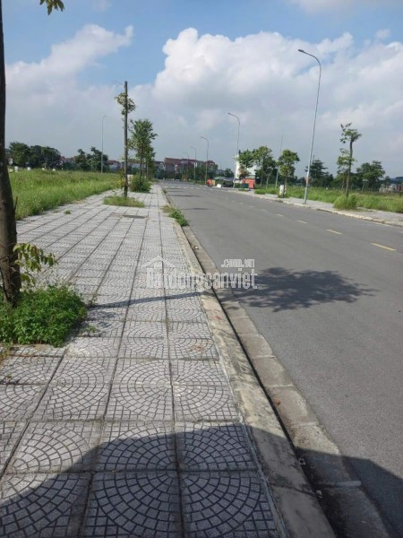 Chính chủ bán 100m đất tại KĐT Bảo Long, Hương Mạc, Từ Sơn, Bắc Ninh giá đầu tư