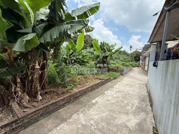 CHÍNH CHỦ CẦN BÁN GẤP MẢNH ĐẤT ĐẸP - HOÀI ĐỨC, HÀ NỘI
-Địa chỉ: Thôn Mộc Hoàn Đình, xã Vân Côn,