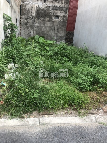 📣📣 ĐẤT VIP ĐA TỐN - GIA LÂM - VUÔNG A4 - NGÕ THÔNG. Ô TÔ NGỦ TRONG NHÀ - Ở SƯỚNG
🏠68,6m2
