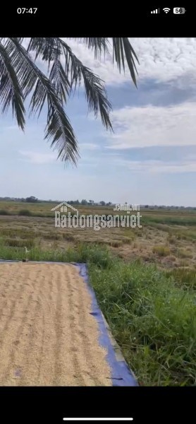 ĐẤT ĐẸP -GIÁ TỐT CẦN BÁN KHỐI TRƯỜNG LỆ- PHƯỜNG CẨM CHÂU-TP.HỘI AN -TỈNH QUẢNG NAM