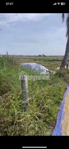 ĐẤT ĐẸP -GIÁ TỐT CẦN BÁN KHỐI TRƯỜNG LỆ- PHƯỜNG CẨM CHÂU-TP.HỘI AN -TỈNH QUẢNG NAM