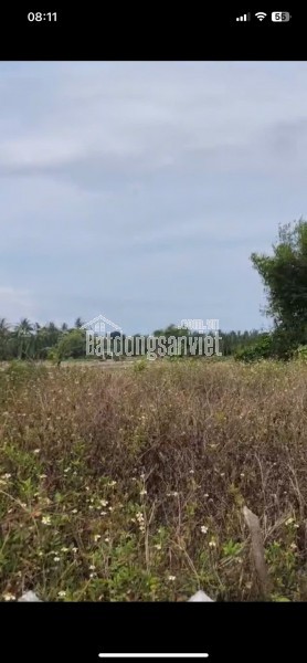 CHÍNH CHỦ CẦN BÁN Ở THÔN VÕNG NHI XÃ CẨM THANH-TP HỘI AN-TỈNH QUẢNG NAM