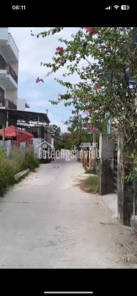 CHÍNH CHỦ CẦN BÁN Ở THÔN VÕNG NHI XÃ CẨM THANH-TP HỘI AN-TỈNH QUẢNG NAM