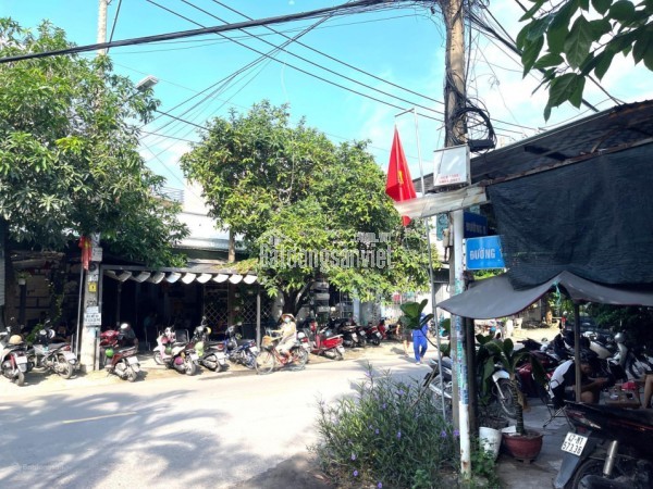 Giảm 1 tỷ bán gấp MTKD, ngang 6m, sát đường Quang Trung, GPXD 1 hầm 7 lầu, 198m2