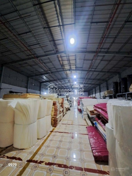 Cho Thuê Kho Xưởng 5.100m² Đường Tân Thới Hiệp 21, P. Tân Thới Hiệp, Q12 – Giá 310 Triệu/Tháng