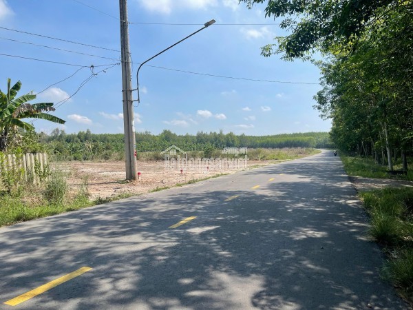 📍 Đất thổ cư mặt tiền đường nhựa 7m – Giá chỉ 480 triệu