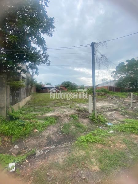 📍 Đất thổ cư mặt tiền đường nhựa 7m – Giá chỉ 480 triệu