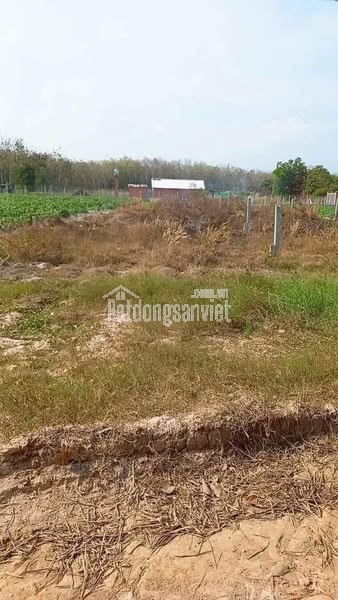 📍 Đất thổ cư mặt tiền đường nhựa 7m – Giá chỉ 480 triệu