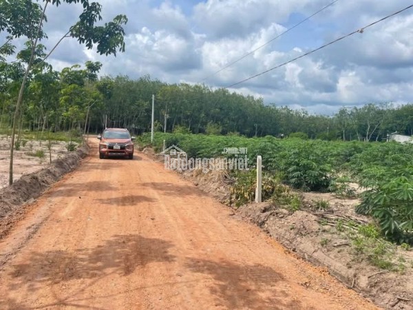 📌 Đất 5x37m, thổ cư 100m² – Giá chỉ 480 triệu