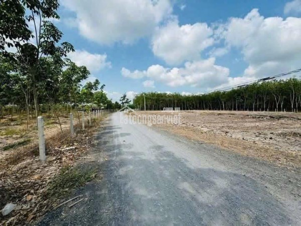 📌 Đất 5x37m, thổ cư 100m² – Giá chỉ 480 triệu