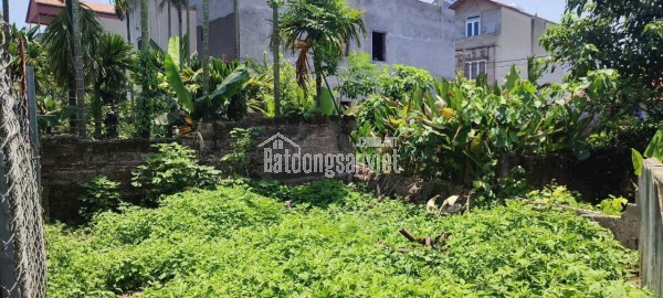 BÁN ĐẤT LÔ GÓC  37,7 M2 TẠI ĐỒNG MAI HÀ ĐÔNG, MT 3,6M GIÁ 2TY920