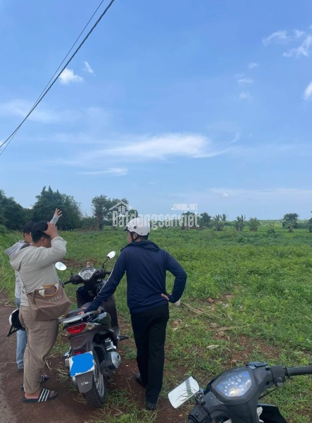 Bán đất tại 997, Xã Phước Long Thọ, Huyện Đất Đỏ, Bà Rịa Vũng Tàu giá 680-740 Triệu
