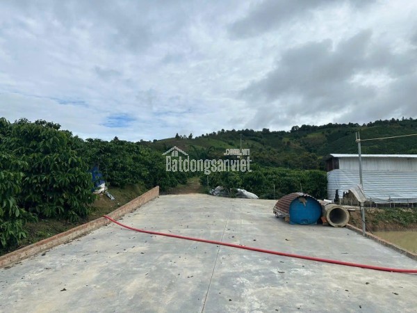 Bán 21000m2 ( 21 sào ) đất nhà , ao, vườn cà phê -Xã Liên Hiệp - Đức Trọng Lâm Đồng