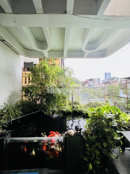THỤY KHUÊ 35M 3 NGỦ 3WC NGÕ ĐẸP GẦN PHỐ GIÁ 6 TỶ 900