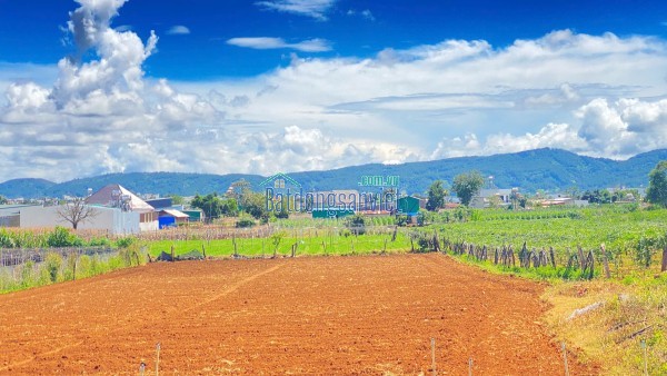 Tổng 1.100m2 có 10m mặt tiền bà huyện thanh quan đức trọng, lâm đồng