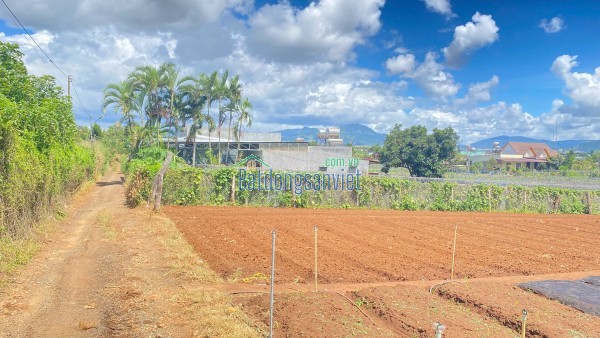 Tổng 1.100m2 có 10m mặt tiền bà huyện thanh quan đức trọng, lâm đồng