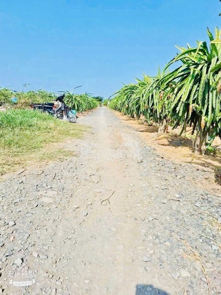 Cơ hội sở hữu đất nền giá NGỘP chỉ 350 triệu