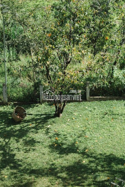 BÁN VILLA 2 MẶT TIỀN XE HƠI – KQH NGÔ QUYỀN, PHƯỜNG CAM LY, ĐÀ LẠT