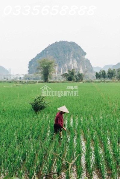 Review Du Lịch Hòa Bình: Trải Nghiệm \