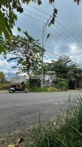 BÁN XƯỞNG (7.875m²) MẶT TIỀN TỈNH LỘ 15 – PHÚ HÒA ĐÔNG, CỦ CHI