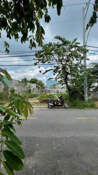 BÁN XƯỞNG (7.875m²) MẶT TIỀN TỈNH LỘ 15 – PHÚ HÒA ĐÔNG, CỦ CHI