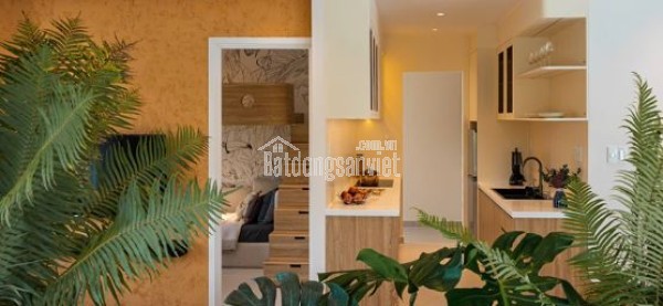 Căn hộ nhà ở xã hội Long Thành – sống xanh chuẩn nghỉ dưỡng