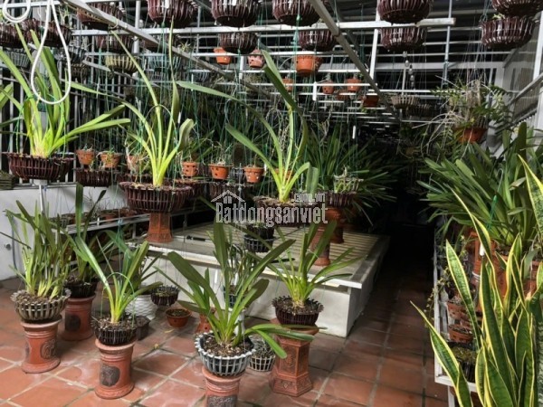 BÁN ĐẤT TẶNG NHÀ CẤP 4, HOÀ QUÝ – NGŨ HÀNH SƠN – ĐÀ NẴNG . GIÁ 3,2 TỶ