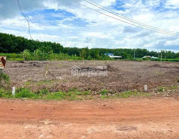 💥 190 Triệu – Đất Mặt Tiền 8m Gần KCN