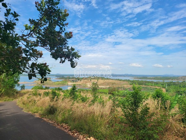 Bán đất view trực diện hồ Sông Ray - Xuy ên Mộc - BRVT, 12497m2 sổ đỏ, giá chỉ 37.4 tỷ - sinh lời