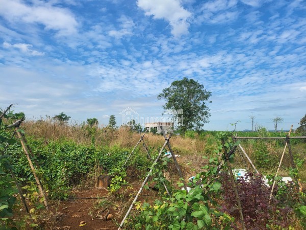 Bán đất view trực diện hồ Sông Ray - Xuy ên Mộc - BRVT, 12497m2 sổ đỏ, giá chỉ 37.4 tỷ - sinh lời