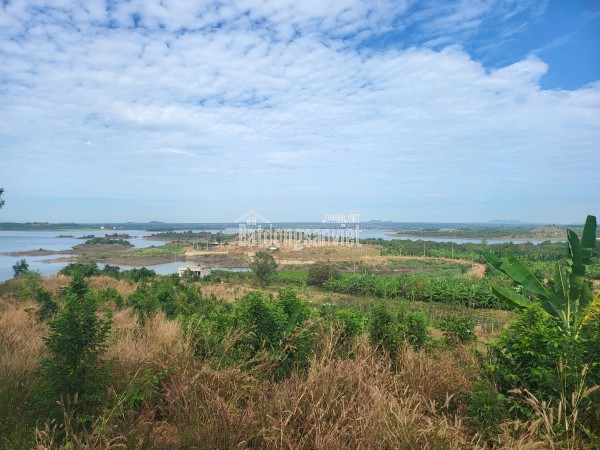 Bán đất view trực diện hồ Sông Ray - Xuy ên Mộc - BRVT, 12497m2 sổ đỏ, giá chỉ 37.4 tỷ - sinh lời