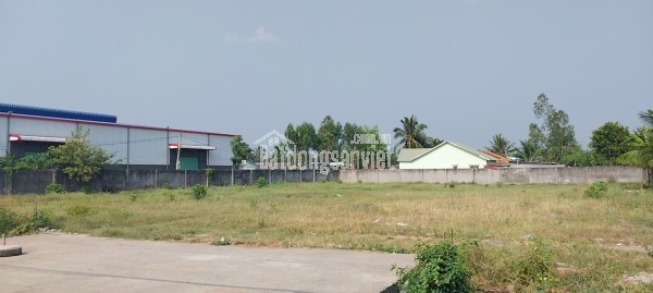 BÁN LÔ ĐẤT MẶT TIỀN HIẾM – QUỐC LỘ 1A – CHÂU THÀNH, MỸ THO, TIỀN GIANG