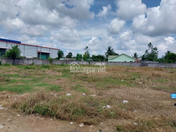 BÁN LÔ ĐẤT MẶT TIỀN HIẾM – QUỐC LỘ 1A – CHÂU THÀNH, MỸ THO, TIỀN GIANG