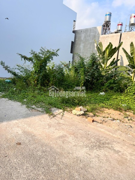 Bán đất 100m2 giá 1tỷ 589 triệu  KDC Bình Hưng,Bình Chánh, TP HCM.LH 0769933176