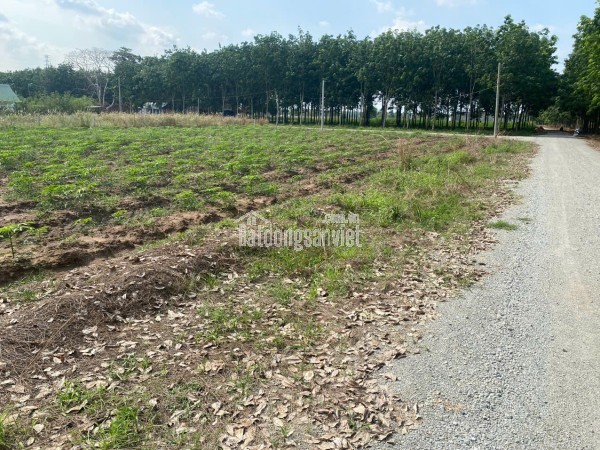 lô 2 mặt tiền nhựa ngay TTHC chơn thành 1ty2/200m2