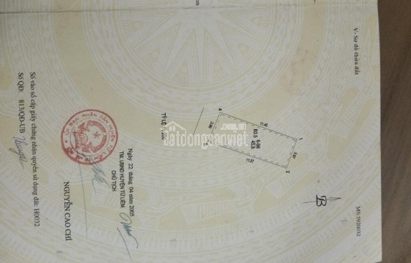 PHÂN LÔ CẦU DIỄN – Ô TÔ TRÁNH – KINH DOANH– AN SINH ĐỈNH