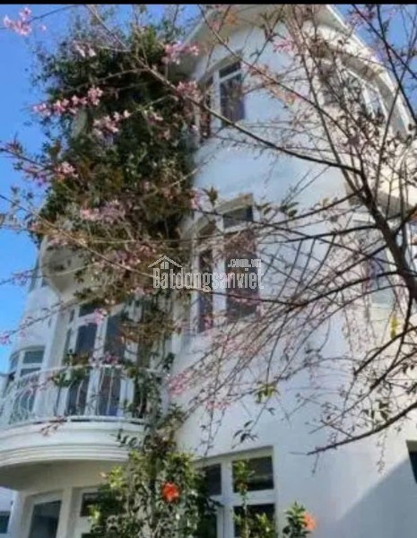 CHO THUÊ VILLA SÂN VƯỜN - CÔ GIANG PHƯỜNG 9 ĐÀ LẠT