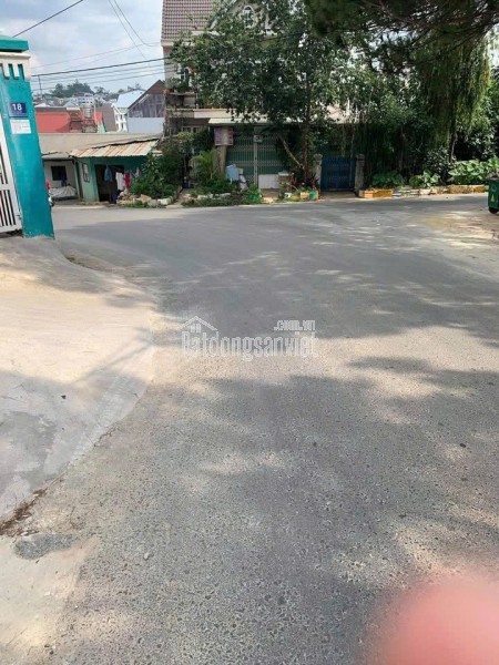 CHO THUÊ VILLA CAO CẤP ĐÀ LẠT, LÂM VIÊN - VIEW THÔNG, NHÀ LỒNG, THANG MÁY, XE 45 CHỖ - 30
