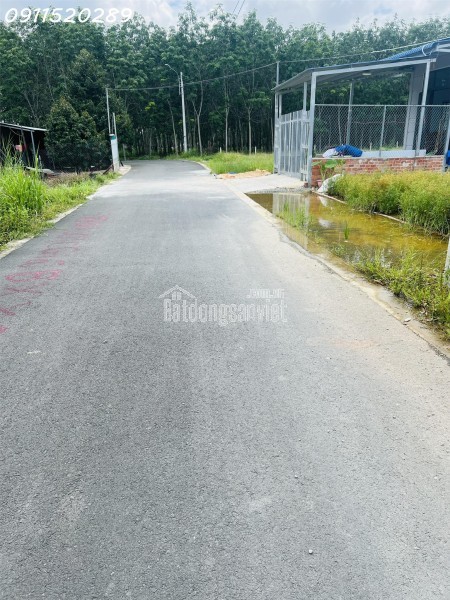 ĐẤT NỀN THỔ CƯ BÌNH DƯƠNG, SỔ SẴN CÁCH KCN CHỈ 900M, NGÂN HÀNG ĐỊNH GIÁ CAO. THANH TOÁN LINH HOẠT